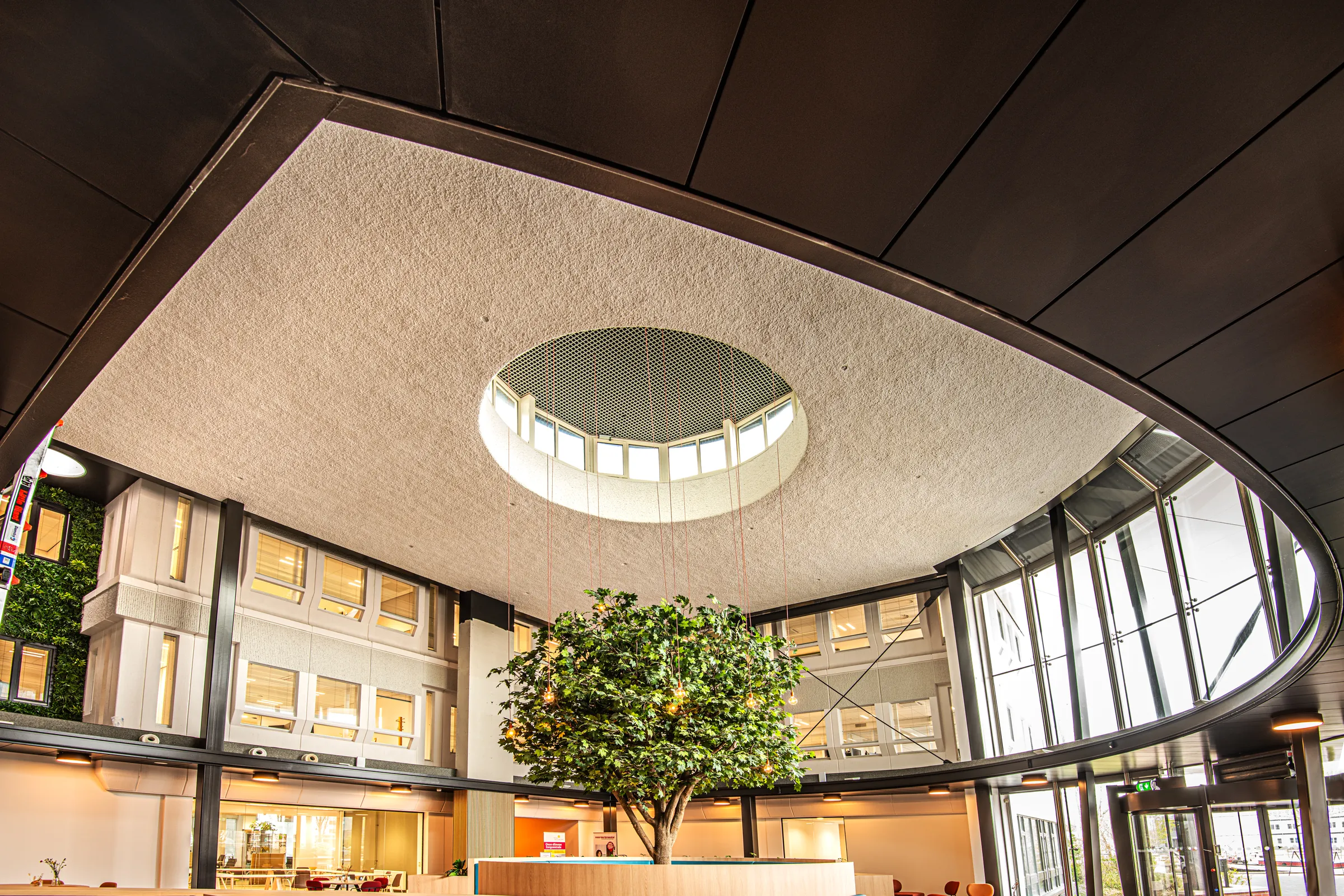 De ronde entree van dFRSLND met de lichtkoepel in het plafond en de boom in het midden