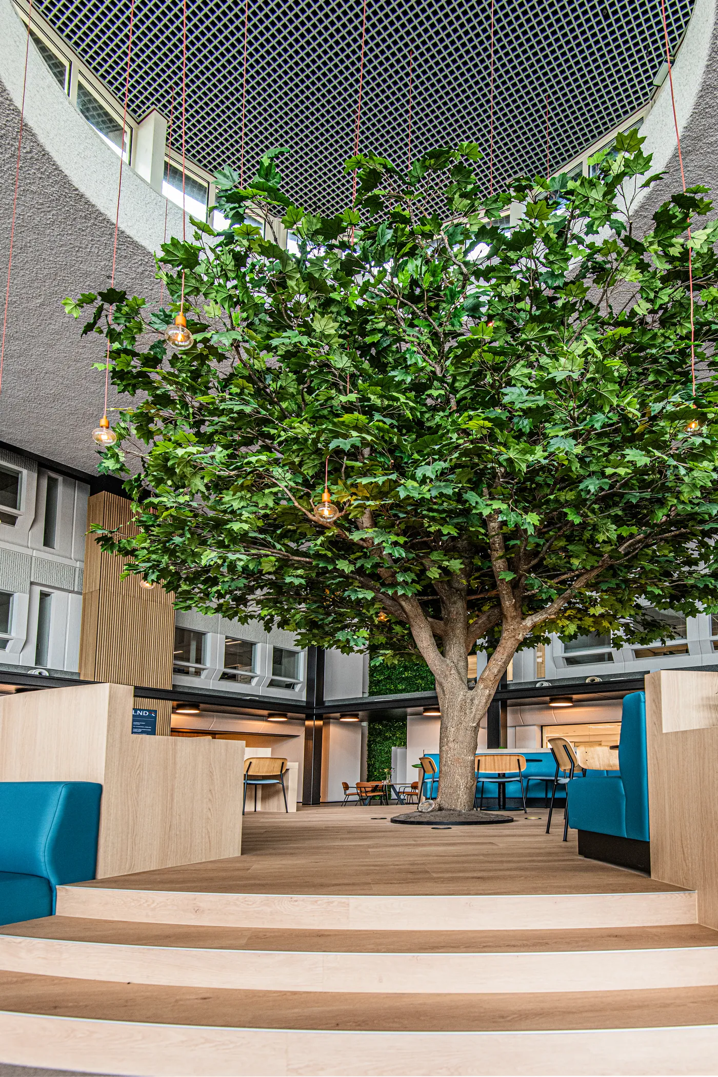De boom op het podium, met treden en blauwe zitbanken eromheen
